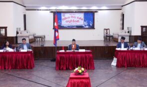 पिजीको विवाद मिलाउन प्रधानमन्त्रीको निर्देशन