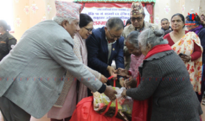 ९३ ज्येष्ठ नागरिकलाई सम्मान