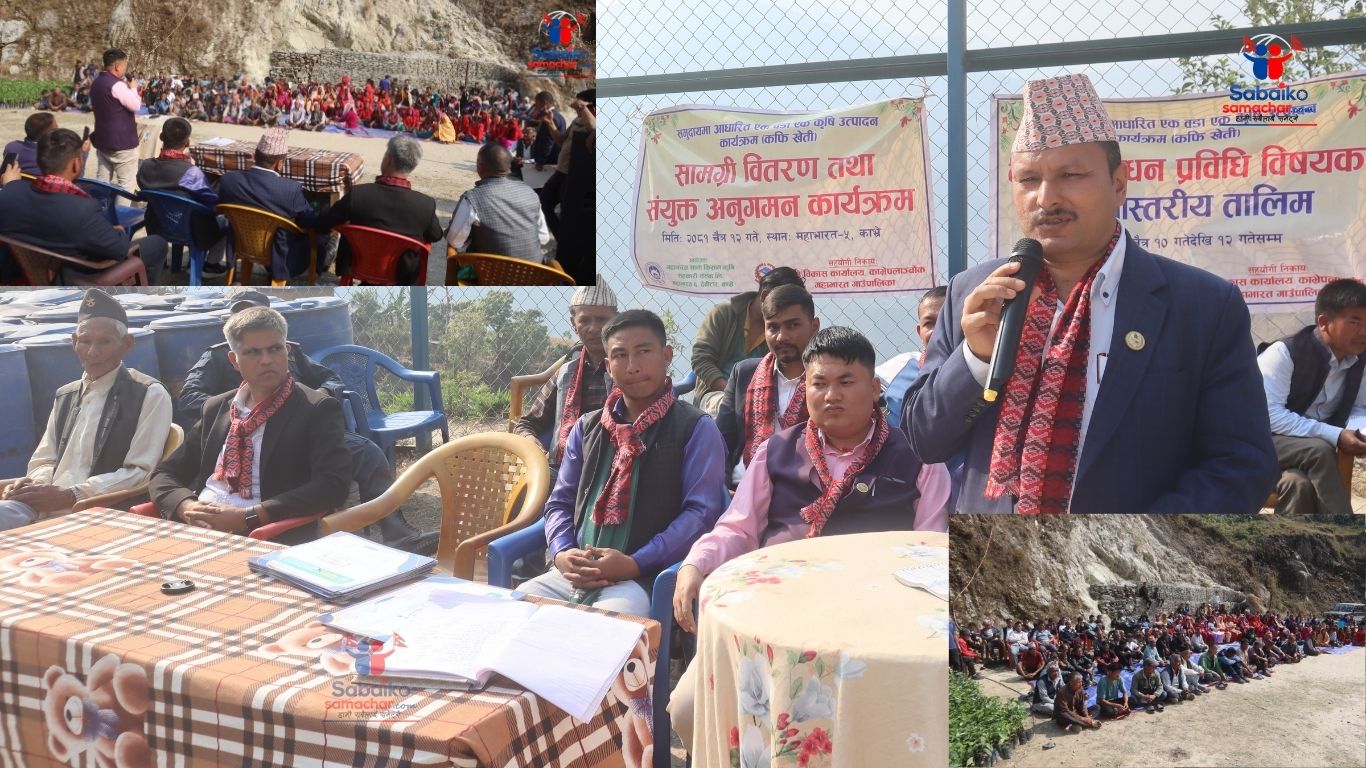 कफी खेतीमा काभ्रेको महाभारत क्षेत्र देशकै अग्रणी, किसानको आकर्षण बढ्दै