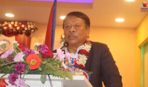 अहिलेको संविधानको विकल्प अर्को संविधान हुन सक्दैन: उपप्रधानमन्त्री सिंह