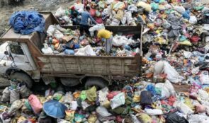 फोहरजन्य वस्तु बेचेर १५ लाख बढी आम्दानी