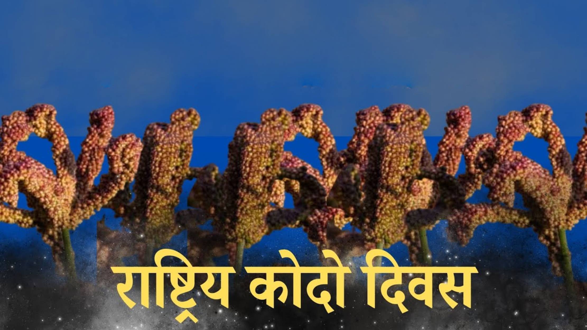 आज राष्ट्रिय कोदो दिवस