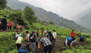 ‘धवलागिरिको इच्छा, गरिखाने शिक्षा’