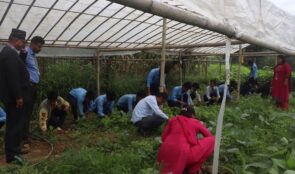 विद्यार्थीलाई अभ्यासमूलक व्यवहारिक शिक्षा दिइँदै