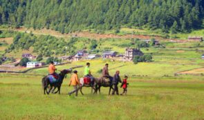 ढोरपाटनमा पर्यटक बढेपछि घोडा व्यवसाय फस्टाउँदै