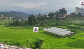 २२ वर्षपछि धुलिखेल आयोजनाः रोक्का जग्गामा निकासको आश