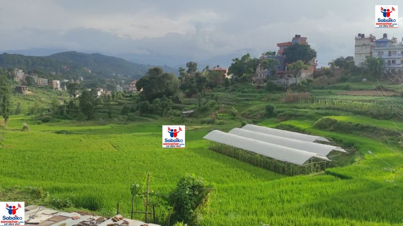२२ वर्षपछि धुलिखेल आयोजनाः रोक्का जग्गामा निकासको आश